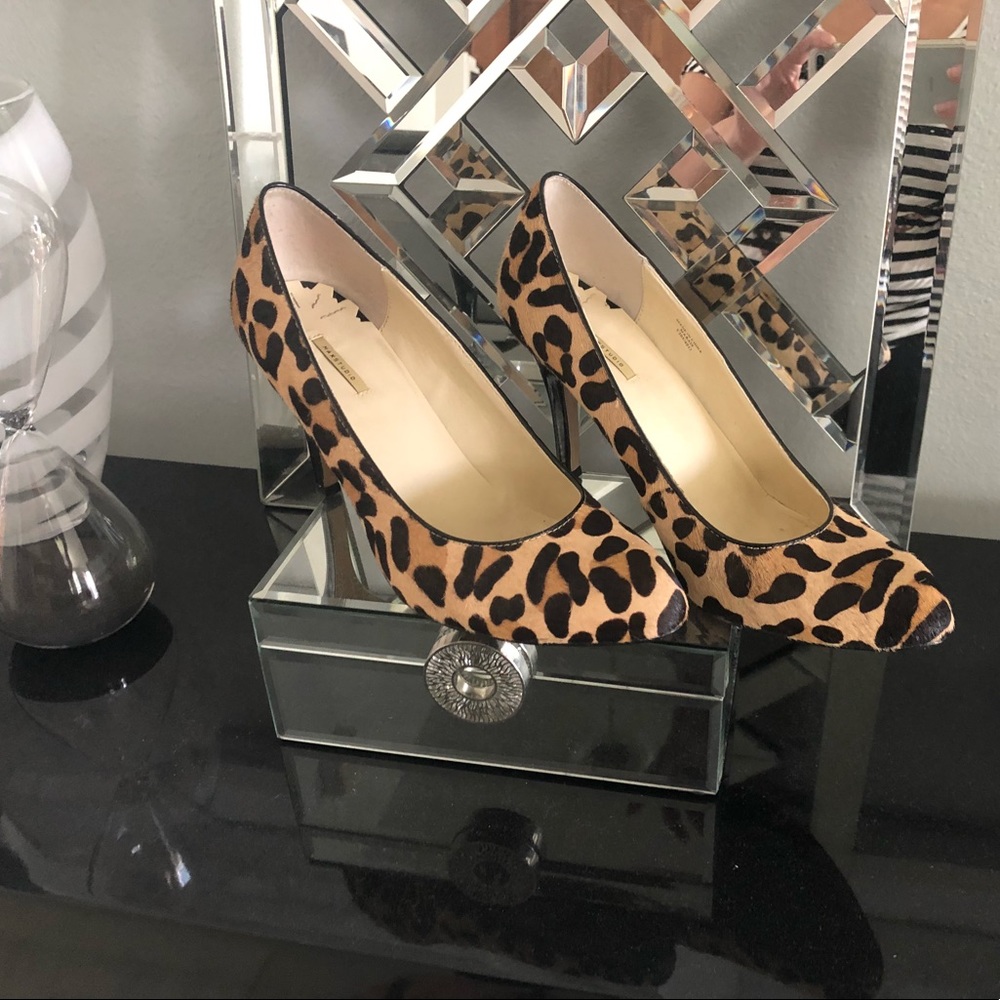 Leopard Print High Heel Pumps (Max Studio)